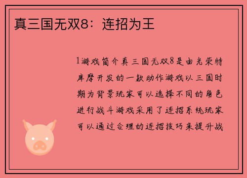 真三国无双8：连招为王