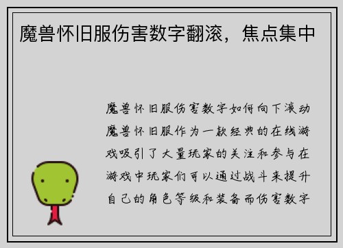 魔兽怀旧服伤害数字翻滚，焦点集中