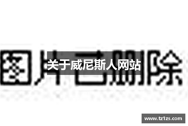 关于威尼斯人网站